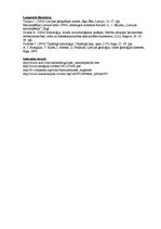 Paraugs 'Upe un tās morfoloģijas, morfometrijas un noteces rādītāju noteikšana. Bīkstupe', 5.