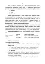 Referāts 'Lēmums', 2.