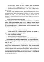 Referāts 'Lēmums', 4.