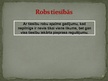 Prezentācija 'Jēdziens "robs"', 11.