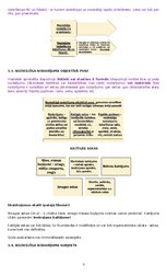 Konspekts 'Krimināltiesību un kriminālprocesa tiesību jomas kvalifikācijas eksāmena teorēti', 3.