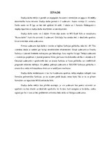 Paraugs 'Studiju darbs. Biznesa datu analīzes tehnoloģijas', 5.