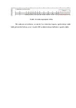 Paraugs 'Studiju darbs. Biznesa datu analīzes tehnoloģijas', 17.