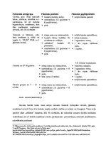 Diplomdarbs 'Papildpakalpojumu ieviešana Valgundes pagasta viesu mājā "X"', 38.