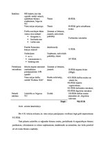 Diplomdarbs 'Papildpakalpojumu ieviešana Valgundes pagasta viesu mājā "X"', 43.