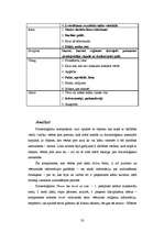 Diplomdarbs 'Latviešu un angļu valodas frazeoloģismi ar nozīmi "nosodīt"', 33.