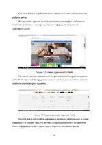 Referāts 'Маркетинговый анализ компании "Nestle"', 24.