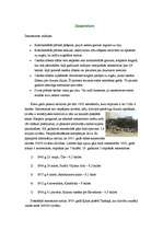 Referāts 'Vulkāni, zemestrīces, cunami', 2.