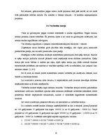 Referāts 'Investīciju projektu novērtēšana un salīdzināšana', 19.