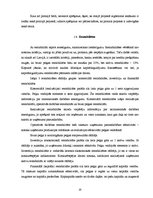 Referāts 'Investīciju projektu novērtēšana un salīdzināšana', 20.