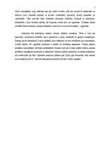 Konspekts 'Personības audzināšanas koncepcijas', 5.