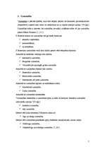 Konspekts 'Izziņas procesi. Uzmanība, domāšana, atmiņa', 7.