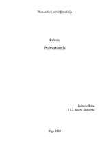 Referāts 'Pulvertornis', 1.