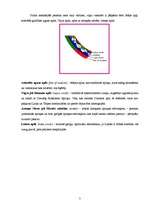 Referāts 'Forma kā simbols', 7.