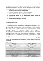 Referāts 'Politiskais mārketings', 10.