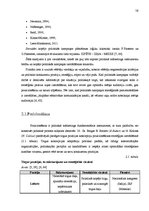 Referāts 'Politiskais mārketings', 16.