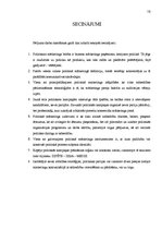 Referāts 'Politiskais mārketings', 19.