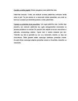 Referāts 'Pašnāvības', 15.