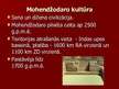 Prezentācija 'Mohendžodaro kultūra', 2.