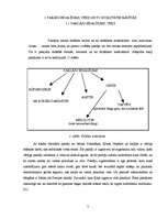 Referāts 'Paklāji mājas interjerā', 4.