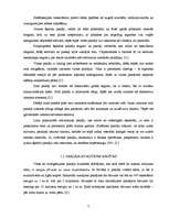 Referāts 'Paklāji mājas interjerā', 6.