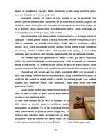 Referāts 'Paklāji mājas interjerā', 13.