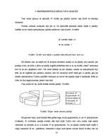 Referāts 'Paklāji mājas interjerā', 15.