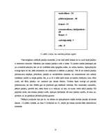 Referāts 'Paklāji mājas interjerā', 17.