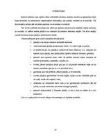 Referāts 'Paklāji mājas interjerā', 19.