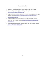 Referāts 'Ēdināšanas uzņēmuma sanitāri higiēniskais novērtējums', 19.