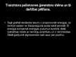 Prezentācija 'Pašierosmes elektriskās svārstības', 10.