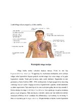 Referāts 'Miega ietekme uz smadzeņu veikspēju', 12.