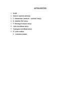 Referāts 'Motivēšanas teorijas', 2.