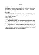 Referāts 'Motivēšanas teorijas', 3.