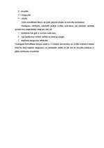 Referāts 'Motivēšanas teorijas', 12.