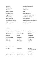 Konspekts 'Komercdarbības uzsākšana', 2.