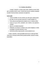 Referāts 'Ceļa sāngrāvju un caurteku uzturēšanā veicamie darbi', 5.