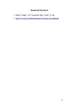 Referāts 'Ceļa sāngrāvju un caurteku uzturēšanā veicamie darbi', 13.