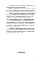 Referāts 'Dobeles pils', 8.