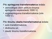 Prezentācija 'Transformatori', 10.
