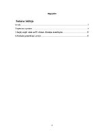 Referāts 'Stratēģijas analīze', 2.