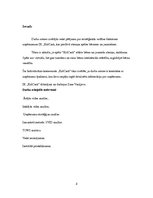 Referāts 'Stratēģijas analīze', 3.