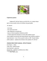 Referāts 'Stratēģijas analīze', 4.