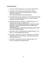 Referāts 'Stratēģijas analīze', 19.