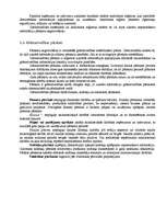 Konspekts 'Vienkāršā grāmatvedība', 7.