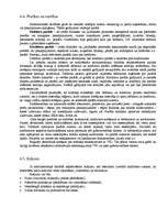 Konspekts 'Vienkāršā grāmatvedība', 13.