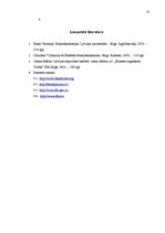 Referāts 'Latvijas valsts budžeta ieņēmumu un izdevumu analīze', 23.