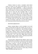 Eseja 'Kas kopīgs informācijas sabiedrībai un katastrofām', 2.