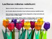 Prezentācija 'Papīra locīšanas māksla - origami', 4.