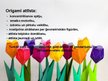 Prezentācija 'Papīra locīšanas māksla - origami', 6.